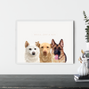 Custom Three-Pet Portraits (Framed)